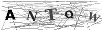 Please refresh your browser to see this image.
